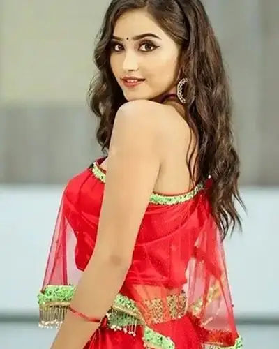 Call Girls Service Yellandu